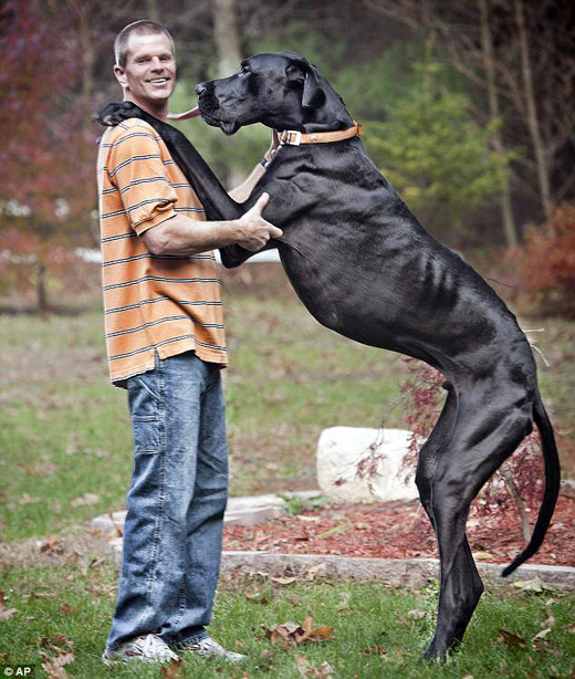 worlds tallest.